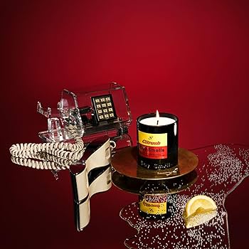 Amazon.com: Boy Smells Citrush Candle – Bright Citrus Aroma